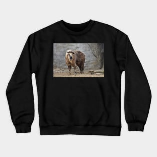 Takin Crewneck Sweatshirt